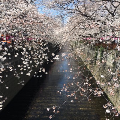 タキさんのプロフィール画像