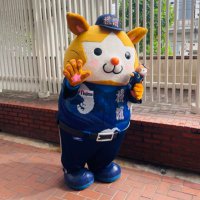 み (@mi__bay) Twitter profile photo