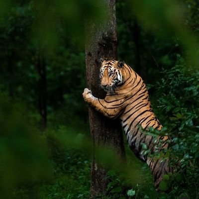 jsb03309's profile picture. 🗺