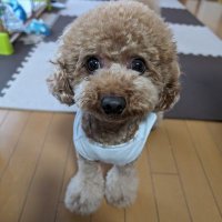 みぃ (@klyvt6zcb093166) 's Twitter Profile