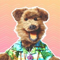 Wonsy (@wonselom) 's Twitter Profile Photo Wonsy (@wonselom) 's Twitter Profile Photo