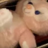 うさぎ (@_taigakun__) 's Twitter Profile Photo