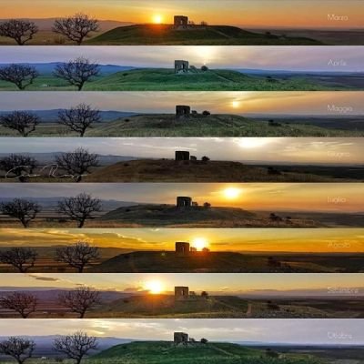 Kim_Metto's profile picture. 