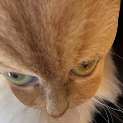 Pegasuslu1's profile picture. boun|fled