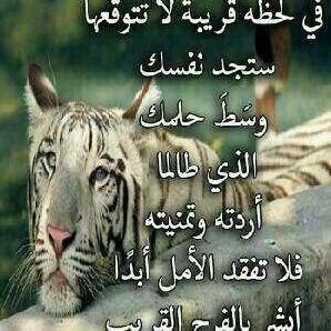 DwyJryh84850's profile picture. 