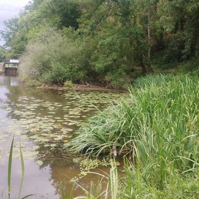 emilie_dchmp's profile picture. 