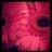 Lew_Lew1's profile image