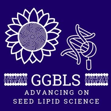 or Genetics and Biochemistry group of seed lipids.
Departamento de Bioquímica y Biología Molecular de Productos Vegetales, Instituto de la Grasa (IG-CSIC).