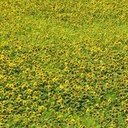 Janet Sells - @SellsJanet86024 - Twitter