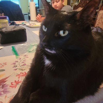 thomas_nizza's profile picture. 