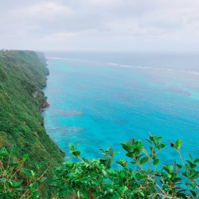 Micco1212M's profile picture. 🌼