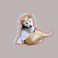 ひとみボーロ (@qwv0411_1105) 's Twitter Profile