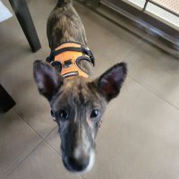 jalascal (@jalascal48027) 's Twitter Profile