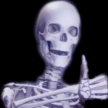 shyauge29320's profile picture.