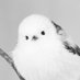affon (@affonffon) Twitter profile photo affon (@affonffon) Twitter profile photo