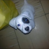 FabiMGF (@fabimgf) 's Twitter Profile