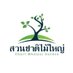 สวนชาติไม้ใหญ่ จ.เชียงใหม่ (@chartmhaiyaith) Twitter profile photo สวนชาติไม้ใหญ่ จ.เชียงใหม่ (@chartmhaiyaith) Twitter profile photo