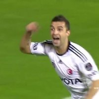 Simao (@simaogerigeldi) 's Twitter Profile