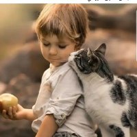 emy (@emanramadan2190) Twitter profile photo