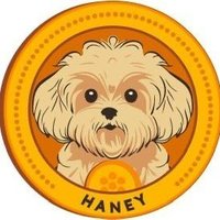 Poodle Haney (@poodlehaneydev) 's Twitter Profile
