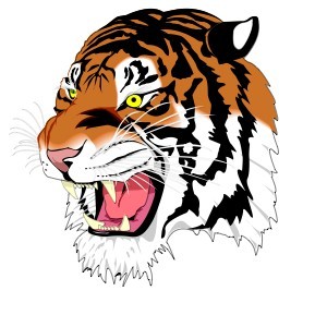 Tigerstrong is a new t shirt buisness here at newton north high school. All proceeds will go to the Second Step to help support Women in need.