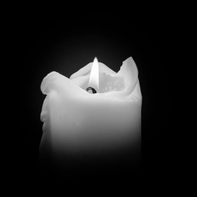 MigMidnight's profile picture. 