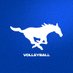 SMU Volleyball (@smuvolleyball) Twitter profile photo SMU Volleyball (@smuvolleyball) Twitter profile photo