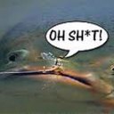 Robert Kramer - @goudkop - Twitter