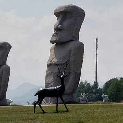 よこたかさんのプロフィール画像