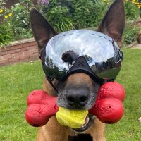Dr Agata Fijalkowski (@agatafijalkow) 's Twitter Profile