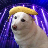 Azura ♻️ (@azura_ape) Twitter profile photo