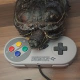 Retroshell_'s profile picture. Több mint 30 éves játékokat spoilerezek és veszek videóra. 

https://t.co/E99980273L