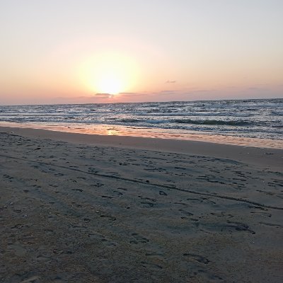 BazarahSayed's profile picture. technology & ecommerce geek