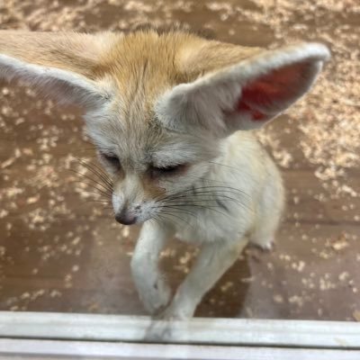 東京SES営業/パートナーさん募集中 プロパーの営業、案件紹介も少しやっています。 転職は考えていません。 #SES営業