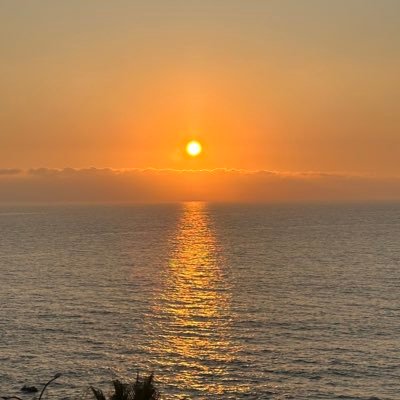 Marcelulaucha's profile picture. 