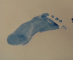 dawnienolliebob's profile picture. 