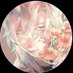 xXjamXx (@daphnepix) Twitter profile photo xXjamXx (@daphnepix) Twitter profile photo