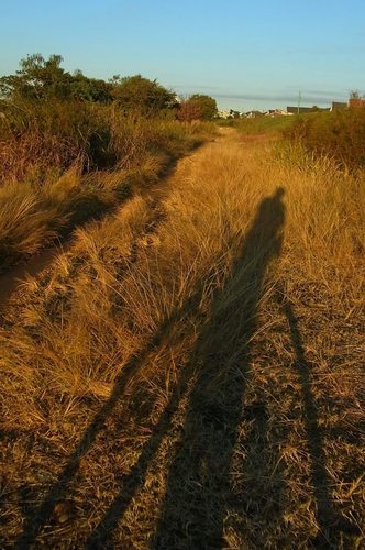 sciurus2's profile picture. 楽しき18輪生活。 タイヤ交換が忙しいけどね。