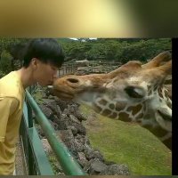 ばな (@banana_life_jpn) Twitter profile photo