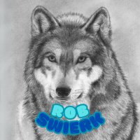 RobSwierk | WELD 🟩 (@robswierk) 's Twitter Profile Photo RobSwierk | WELD 🟩 (@robswierk) 's Twitter Profile Photo