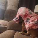 Carrie Proctor - @CarrieProc1972 - Twitter