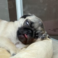 町のえろろてりーまん (@t_kun420) 's Twitter Profile