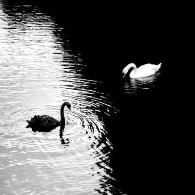 ygs_wrld's profile picture. https://t.co/pAi5pXimrk                                                    🏴‍☠️