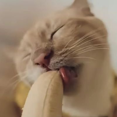 your_randomdude's profile picture. Random thoughts.
random ideas.