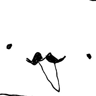 네모さんのプロフィール画像