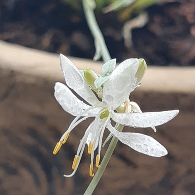 heohyeja122747's profile picture. 