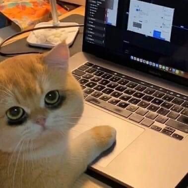 elaejovem's profile picture. Ela é toda boazinha, ela é toda do bem, ela é tão galera.