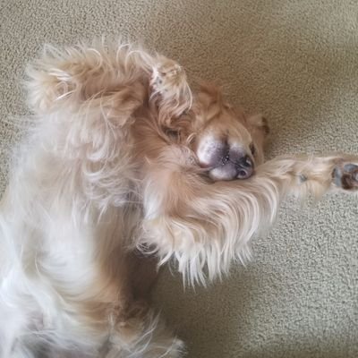 MikeMtsmls2000's profile picture. Holding tight and being patient. Buying every dip. Next thing I know, I own 2% of supply. 2% of nothing is better nothing...uh..wait🤔