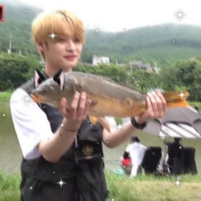 alczasz's profile picture. fersh |
22