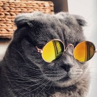 Bhadwa Billa (@billahubhaisaab) 's Twitter Profile Photo Bhadwa Billa (@billahubhaisaab) 's Twitter Profile Photo
